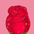 Pamela Montgomery's profile image
