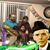 Hafiz Abdul Basit Malik's profile image
