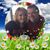 Melissa Grega's profile image