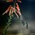 Barbara Mullarky's profile image