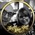 Irene Donofrio's profile image