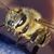 Bill Ditmer's profile image