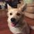 Jamie Beth Cimiotti Ratliff's profile image