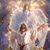 Darlene Dunn's profile image
