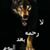 Abo Blal's profile image