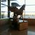 Dawn Melissa Naranjo's profile image