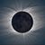 Deanna Patchett Brown's profile image