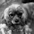 Luzviminda Clancy's profile image