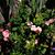 Tami Baird-Wenzel's profile image