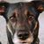 Mary Botkin's profile image
