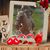 Sally Laurel Gregg's profile image
