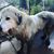 Julie Cathleen White-Chaples's profile image