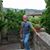 Keith Allen's profile image