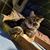 Tc Pawloski's profile image