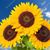 Doreen Emery Witham's profile image