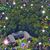 Kathleen Setaro's profile image