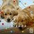 Amy Dougher's profile image