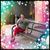 Rosa Robles's profile image