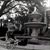 Steven N Stacey Elam's profile image