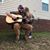 Pj Lucas's profile image