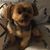 Carol Fries Caywood's profile image