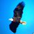 Karen Eifert Jones's profile image