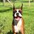 Debbie Wagner Ensor's profile image