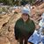 Shawna Wemple's profile image