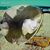 Danette Mathew's profile image