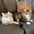 Sue Jensen Knell's profile image