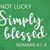 Lynette Matthys Masek's profile image