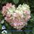 Sandi Goodman's profile image