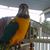 Raven Chaput's profile image