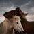 Josh Rowan's profile image