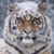 Matthew Sulser's profile image