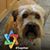 Lori Davidson's profile image