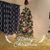 Amy Boyer Williams's profile image