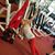 Lorraine Santangelo's profile image
