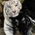 Alicia C Flores's profile image