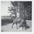 Judith Hoglund's profile image