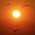 Judy St Clair's profile image