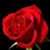 Linda Nassen's profile image