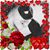 Alicia Danice's profile image