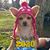 Tina L. Perna's profile image