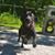 Rachel Himley's profile image