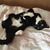 Laurie Gagne's profile image