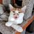 Bobbie Jo's profile image