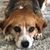 Donna Marie Test-Pareene's profile image