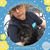 Jan Merrick's profile image