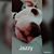 Kerry Hostetler's profile image